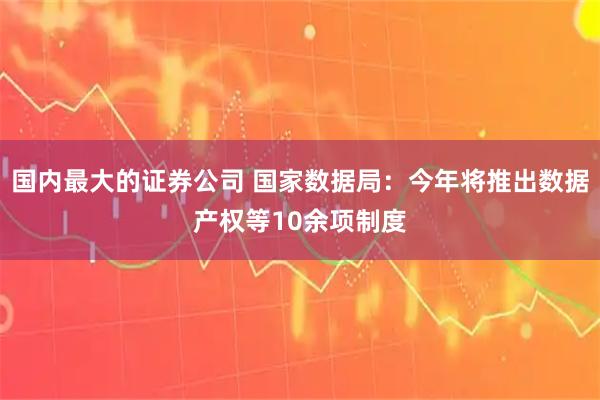 国内最大的证券公司 国家数据局：今年将推出数据产权等10余项制度