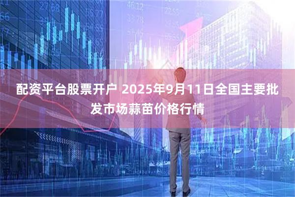 配资平台股票开户 2025年9月11日全国主要批发市场蒜苗价格行情