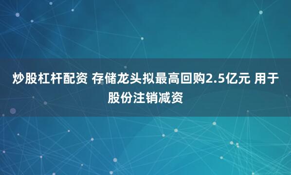 炒股杠杆配资 存储龙头拟最高回购2.5亿元 用于股份注销减资